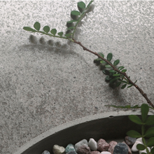 Load image into Gallery viewer, CONCO CHARCOAL PORCELAIN TILE