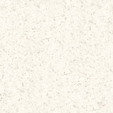 Load image into Gallery viewer, TERRA WHITE PORCELAIN