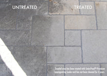 Load image into Gallery viewer, STAIN-PROOF PREMIUM IMPREGNATING SEALER