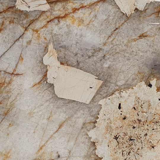 Patagonia Quartzite Slab