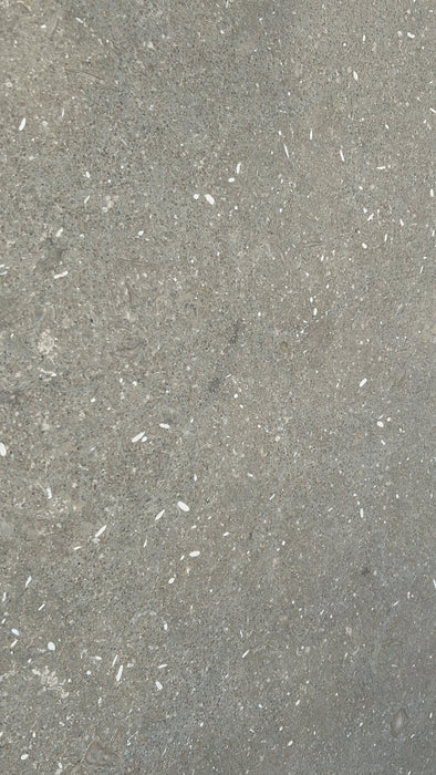 Chateau Green Fossil Limestone Slab