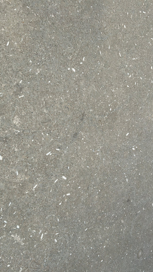 Chateau Green Fossil Limestone Slab