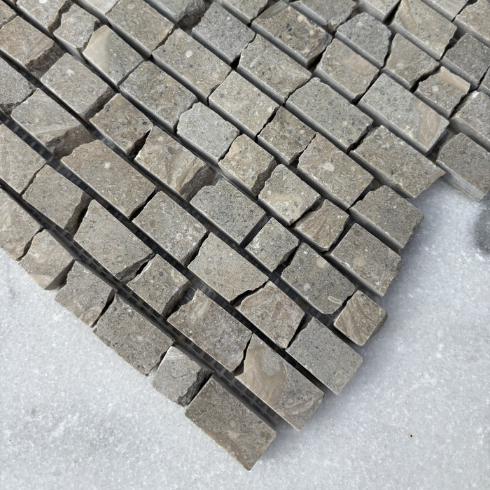 Chateau Green Fossil Limestone Domenica Mosaic