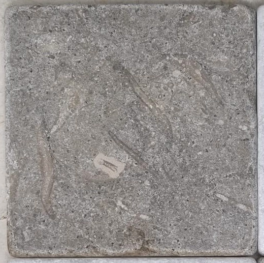 Chateau Green Fossil Limestone Tile 100x100x10