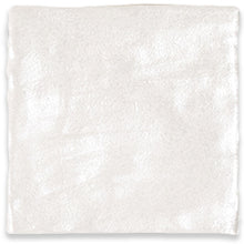 Load image into Gallery viewer, PEARL COCO CERAMIC TILE
