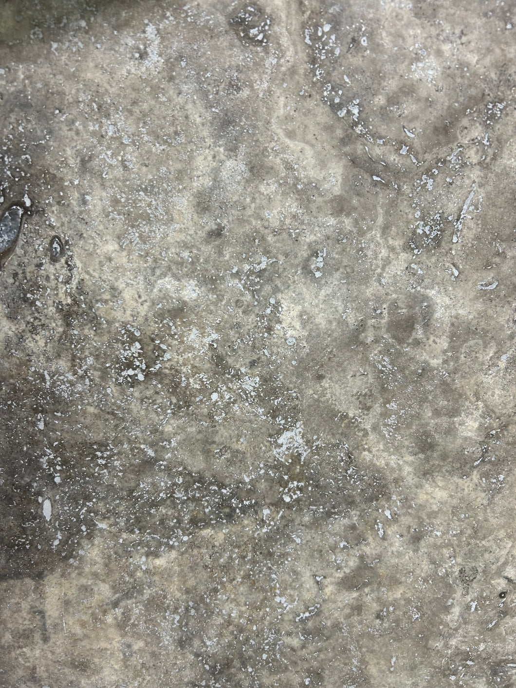 SILVER TRAVERTINE HONED & FILLED