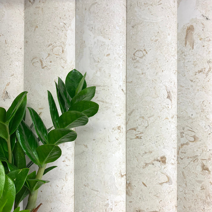 Myra Wide Convex Flute White Fossil Limestone