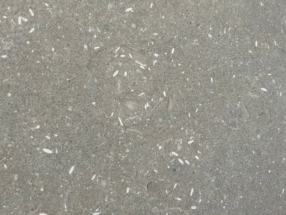 Chateau Green Fossil Limestone Slab