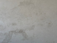 Load image into Gallery viewer, SNOW WHITE
