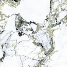 Load image into Gallery viewer, ITALIAN JADE 3D PORCELAIN
