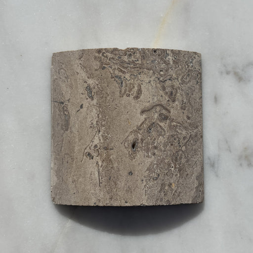 Noce Travertine Wide Convex Flute