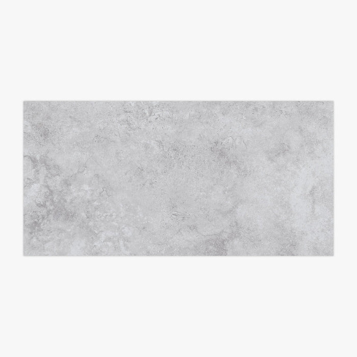 Timeless Silver Porcelain Tile 300x600x95
