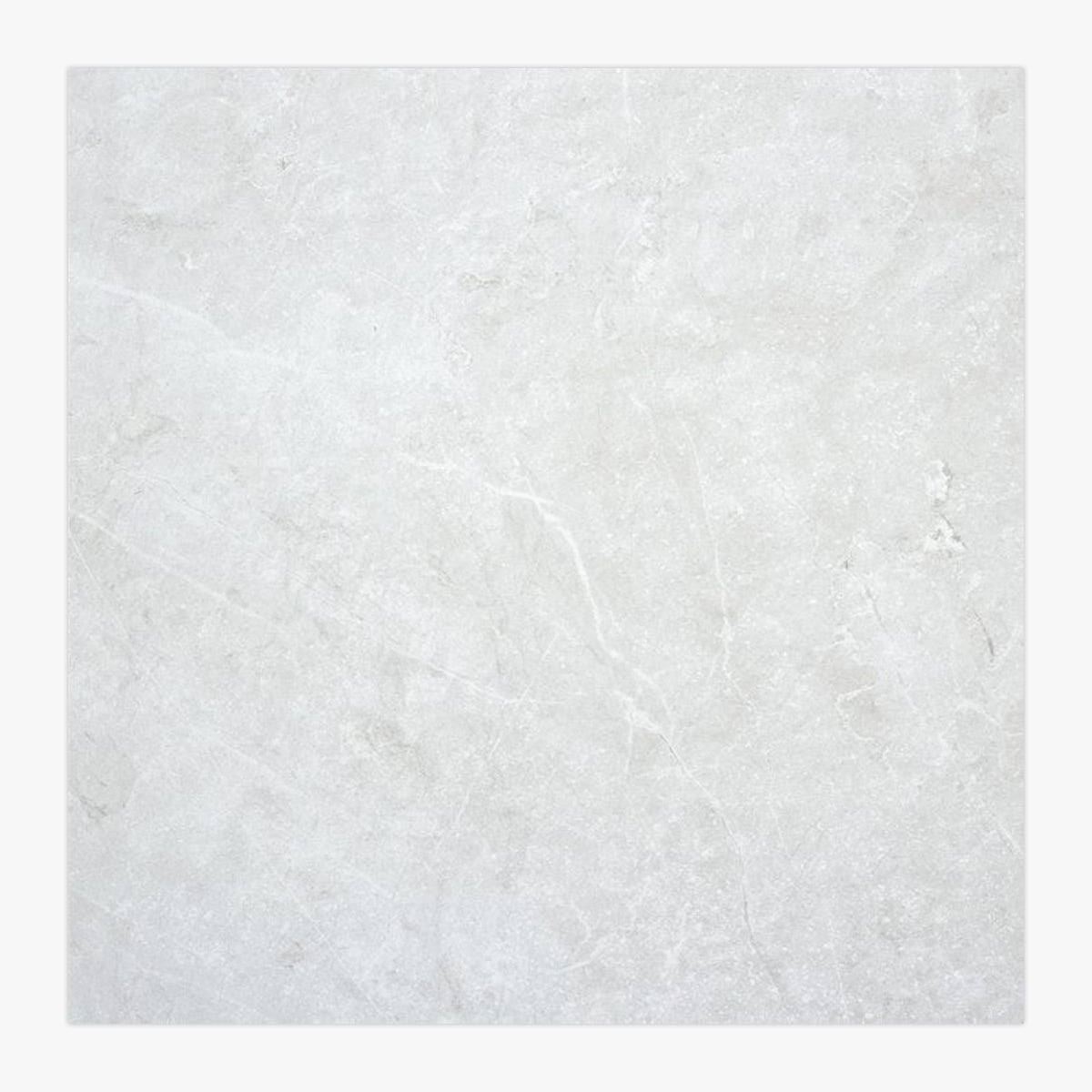 Azuma Azuma Blanco Porcelain Matte Tile 600x600 | Graystone Tiles ...