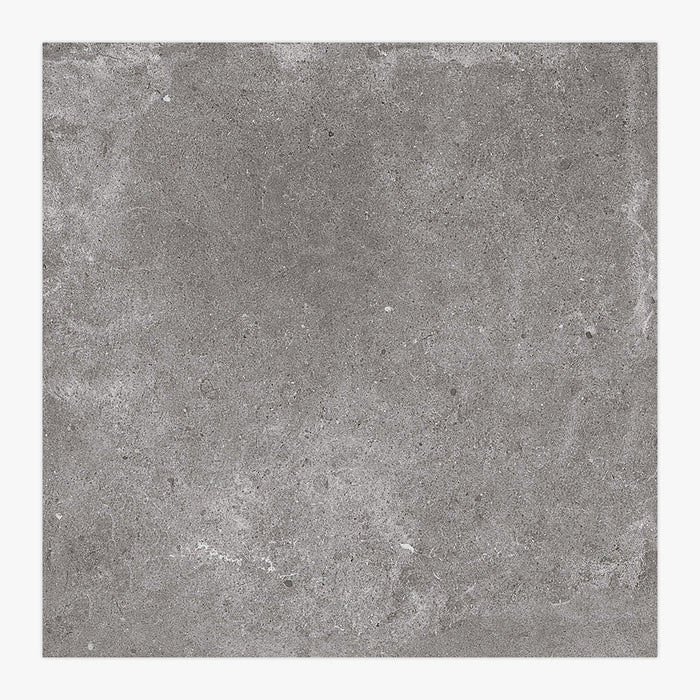 Paragon Grey Porcelain Tile 600x600x10