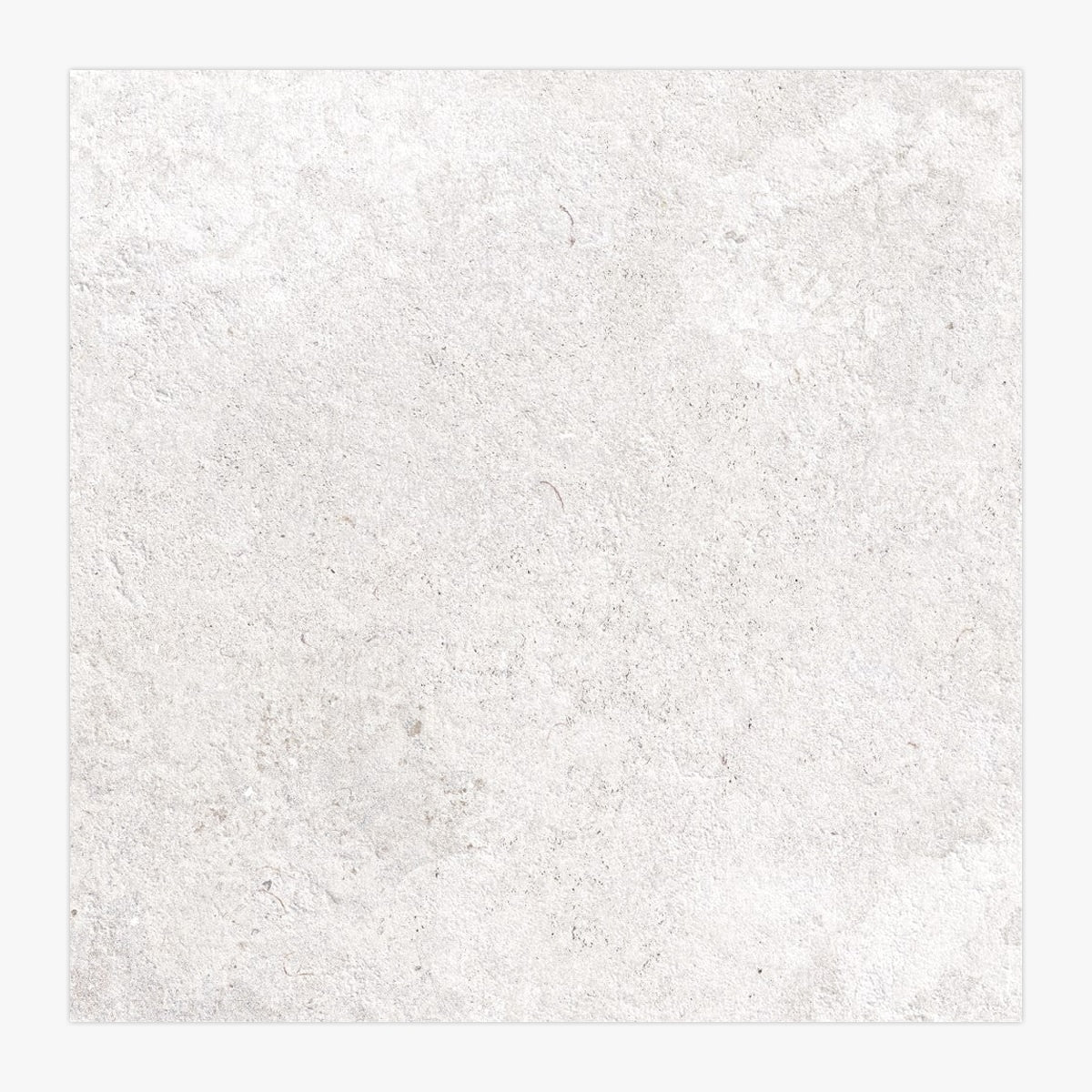 Provence Porcelain