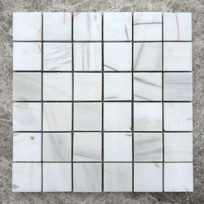Large Square Rosette Dolomite Mosaic