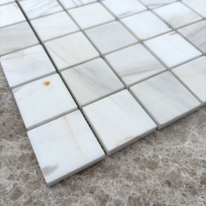 Large Square Rosette Dolomite Mosaic