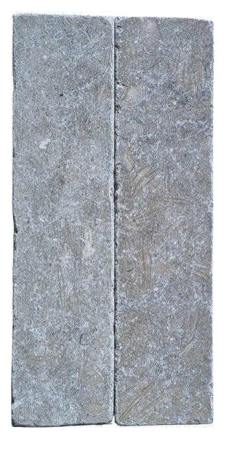 CHATEAU GREEN FOSSIL LONG SUBWAY