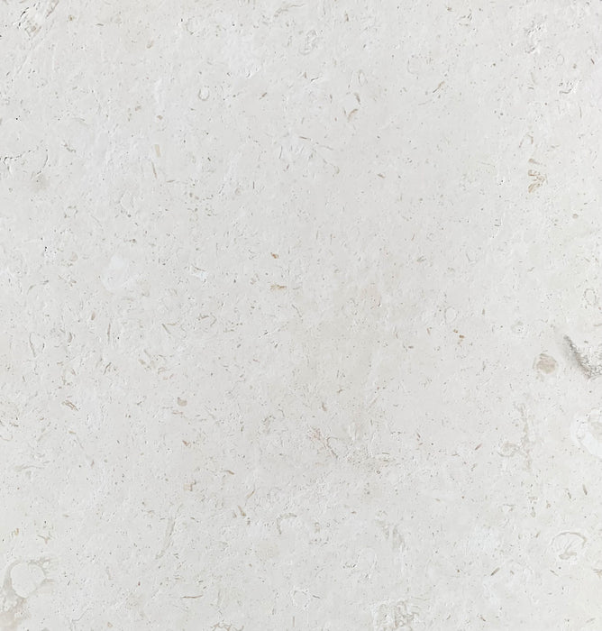 White Fossil Limestone Slab