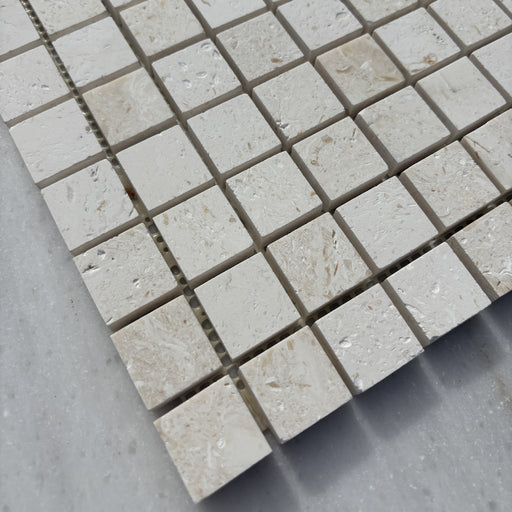 White Fossil Limestone Square Mosaic