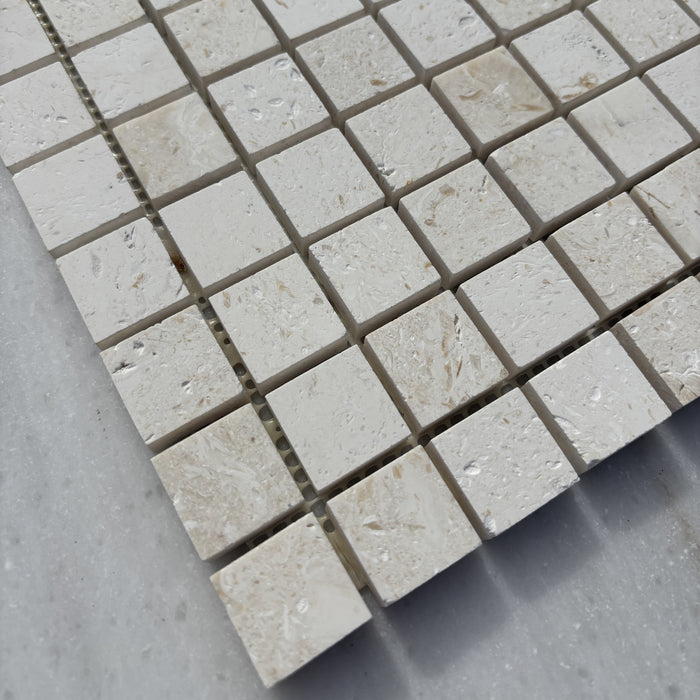 White Fossil Limestone Square Mosaic