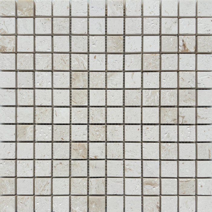 White Fossil Limestone Square Mosaic
