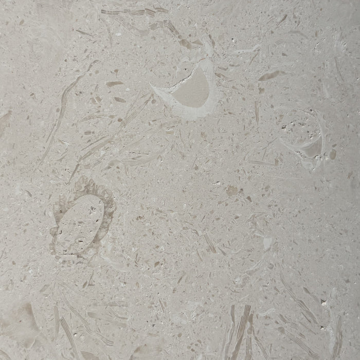 White Fossil Limestone Wide Convex Flute