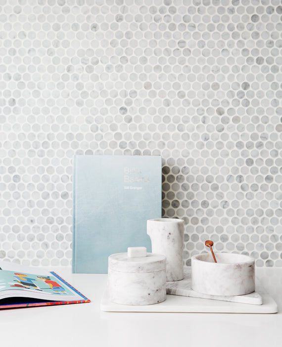 Penny Round Carrara Matte Porcelain Mosaic