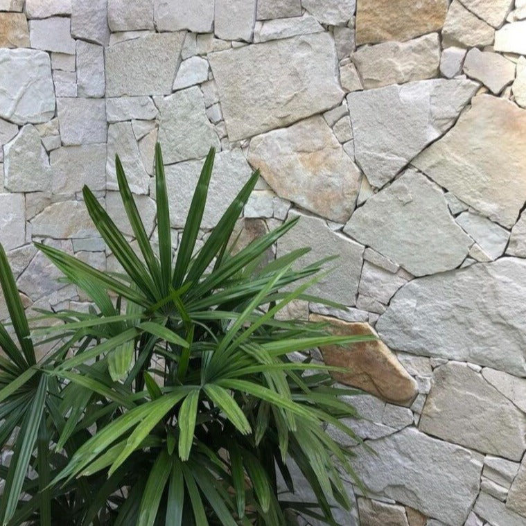 ALTA RANDOM STONE WALL CLADDING – Graystone Tile & Design Studio