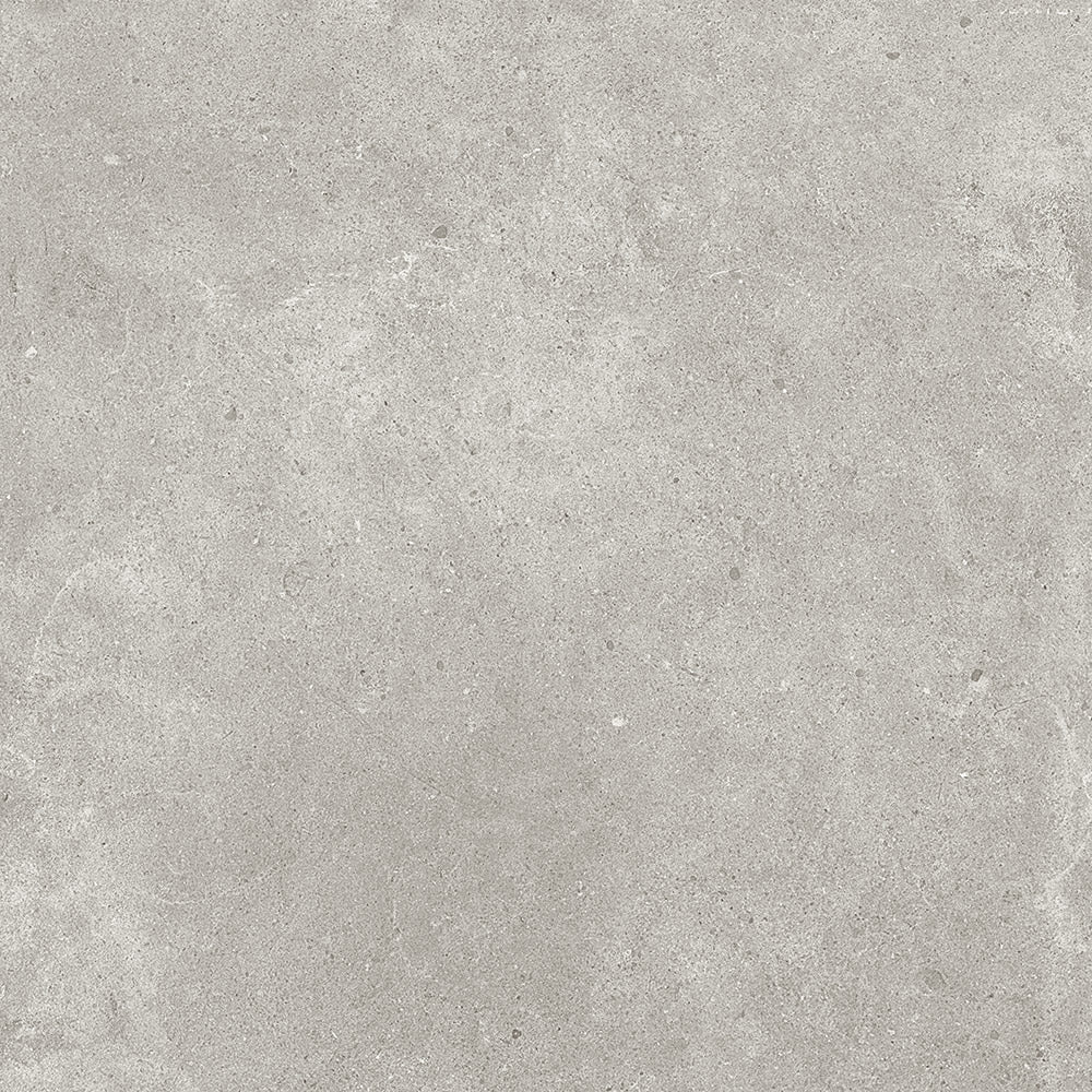 PARAGON TORTORA PORCELAIN – Graystone Tile & Design Studio