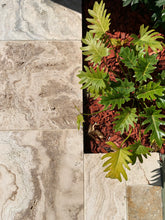 Load image into Gallery viewer, VALENCIA TRAVERTINE TUMBLED &amp; UNFILLED
